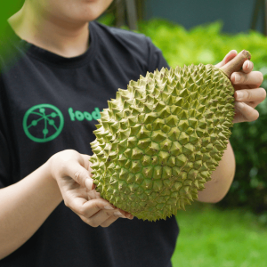 Trái sầu riêng Musang King cơm vàng, giá trị cao.